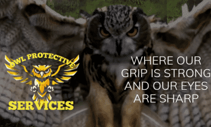 Owl Protective Services